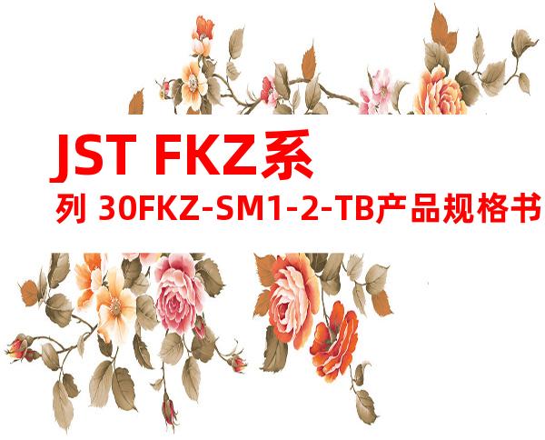 JST FKZ系列 30FKZ-SM1-2-TB产品规格书